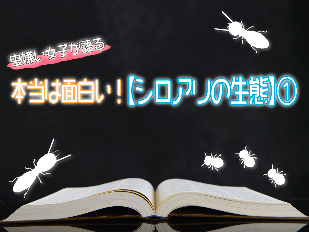 虫嫌い女子が語る本当は面白いシロアリの生態①シロアリが嫌いなもの