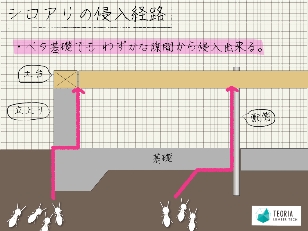 ベタ基礎でもわずかなコンクリートの隙間からシロアリは侵入する