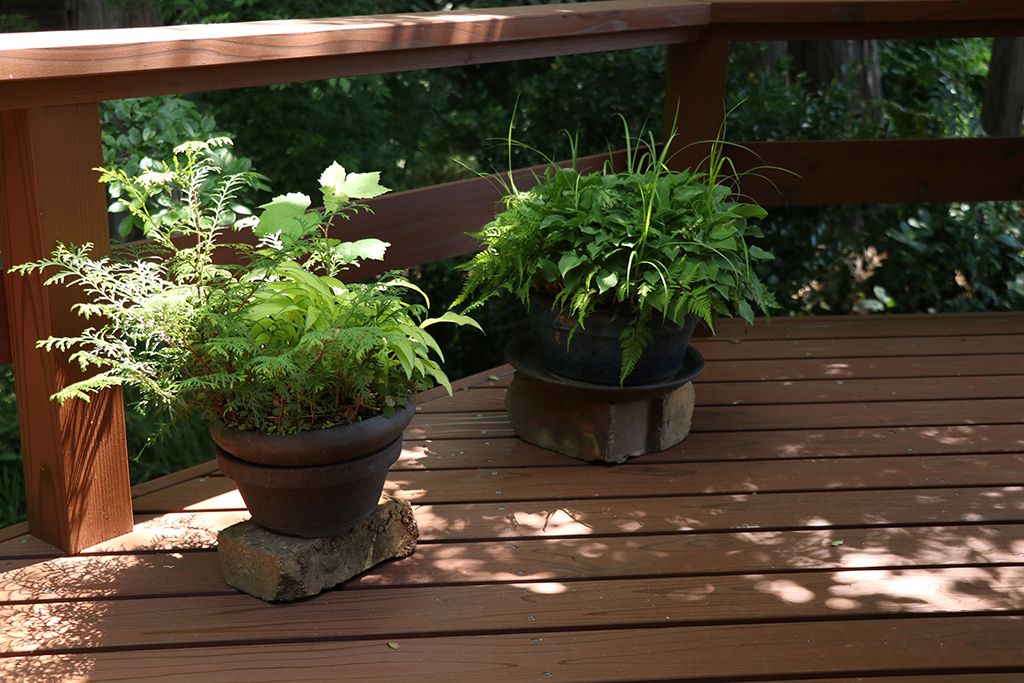 ウッドデッキの上の植物